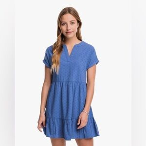 🆕 Southern Tide Colette Swiss Dot Dress in Seven Seas Blue SZ SM